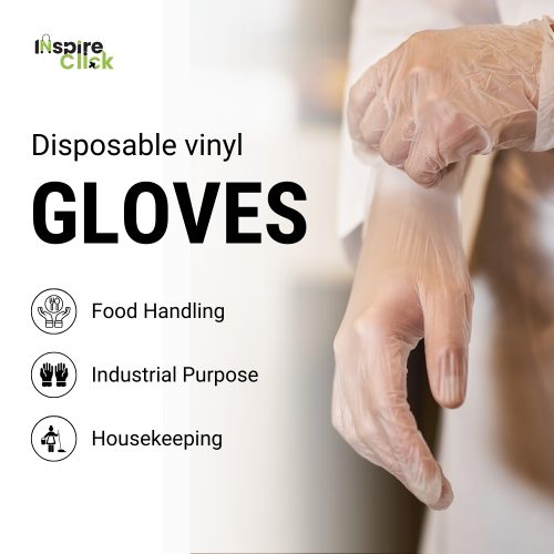 vinyl gloves (2-3)